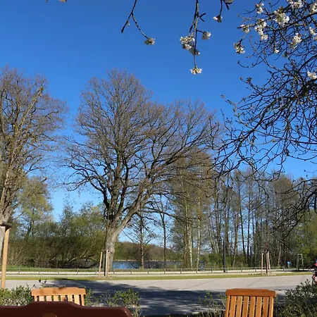 Strandlaeufer *